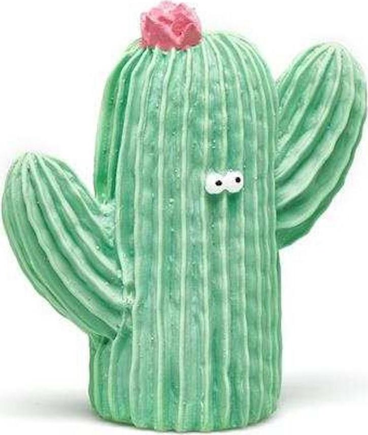 Lanco Kaktus obličej 1 ks