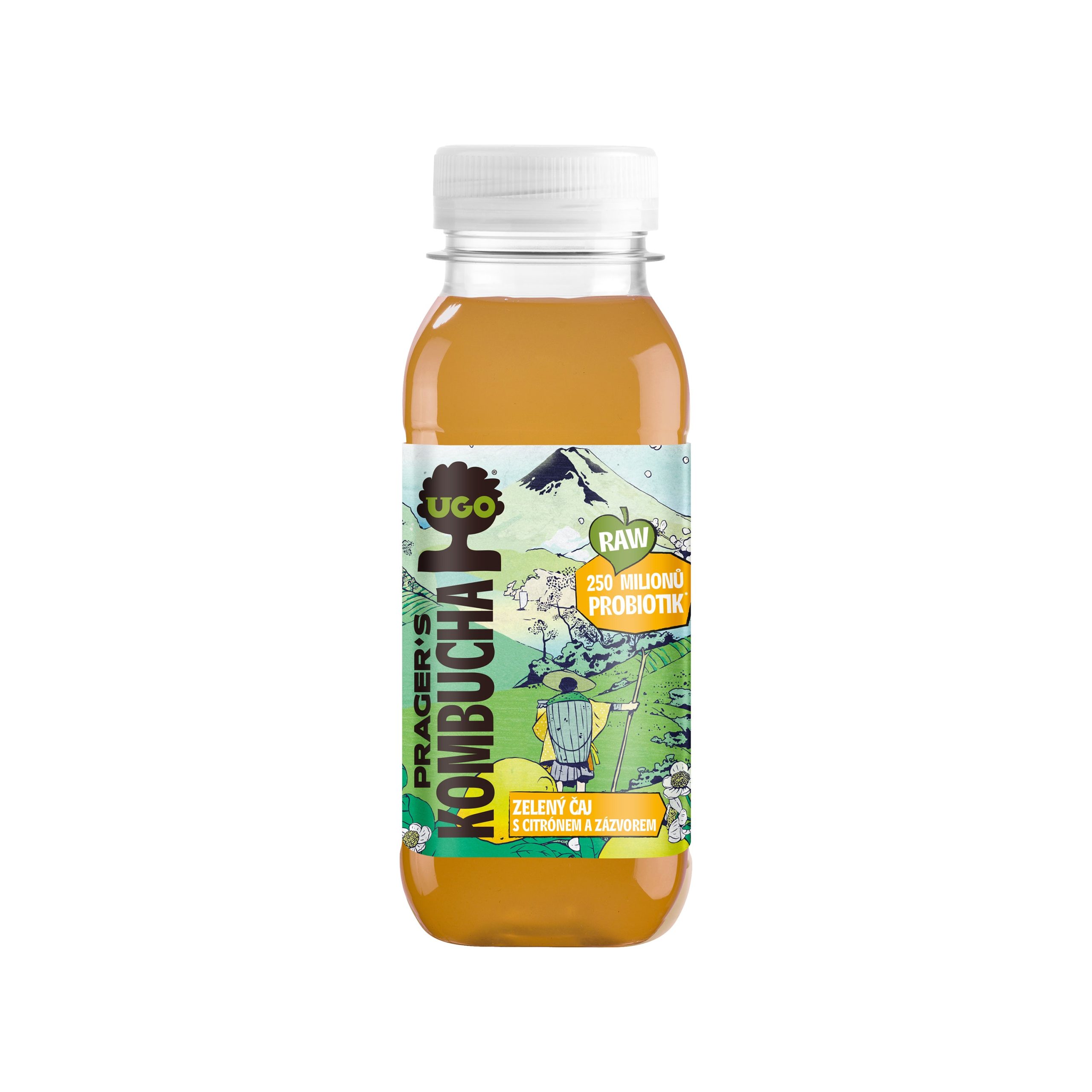 Kombucha zelený čaj s citrónem a zázvorem 250 ml   UGO Ugo