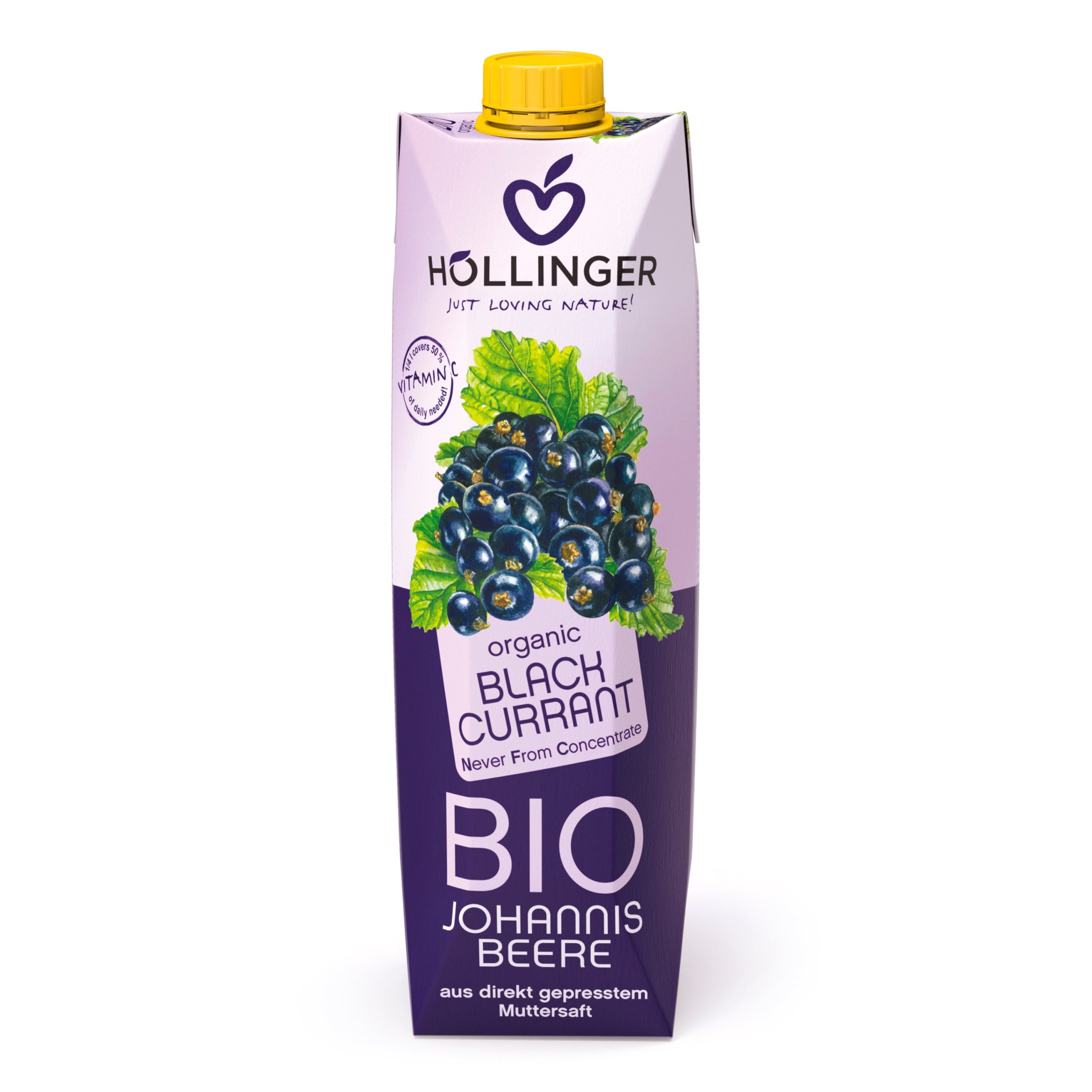 Nektar černý rybíz 1 l BIO   HOLLINGER Hollinger
