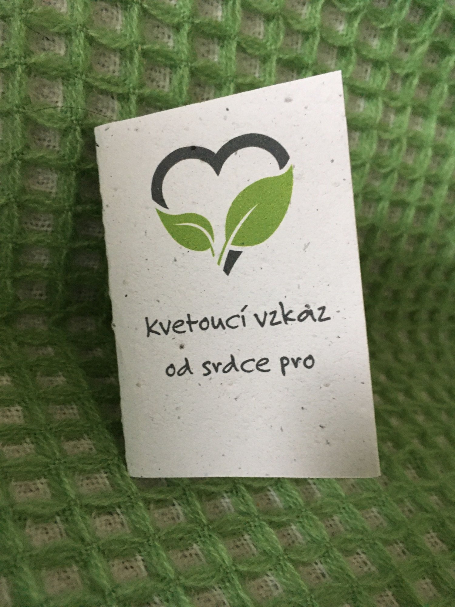 Kvetoucí pozdrav Econea