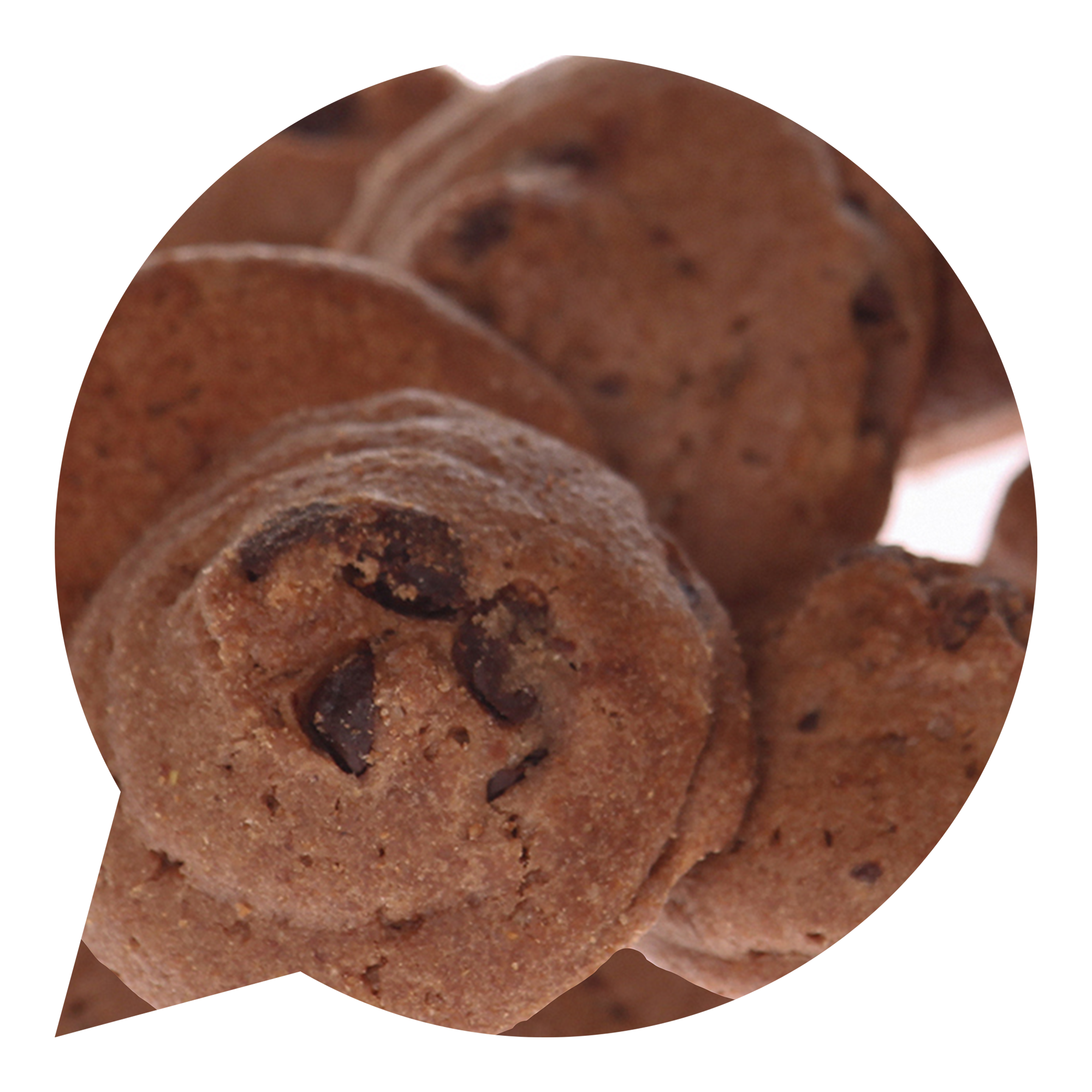 MOJE SUŠENKY  čokoládové 4 kg BIO   BIO NEBIO Bio nebio