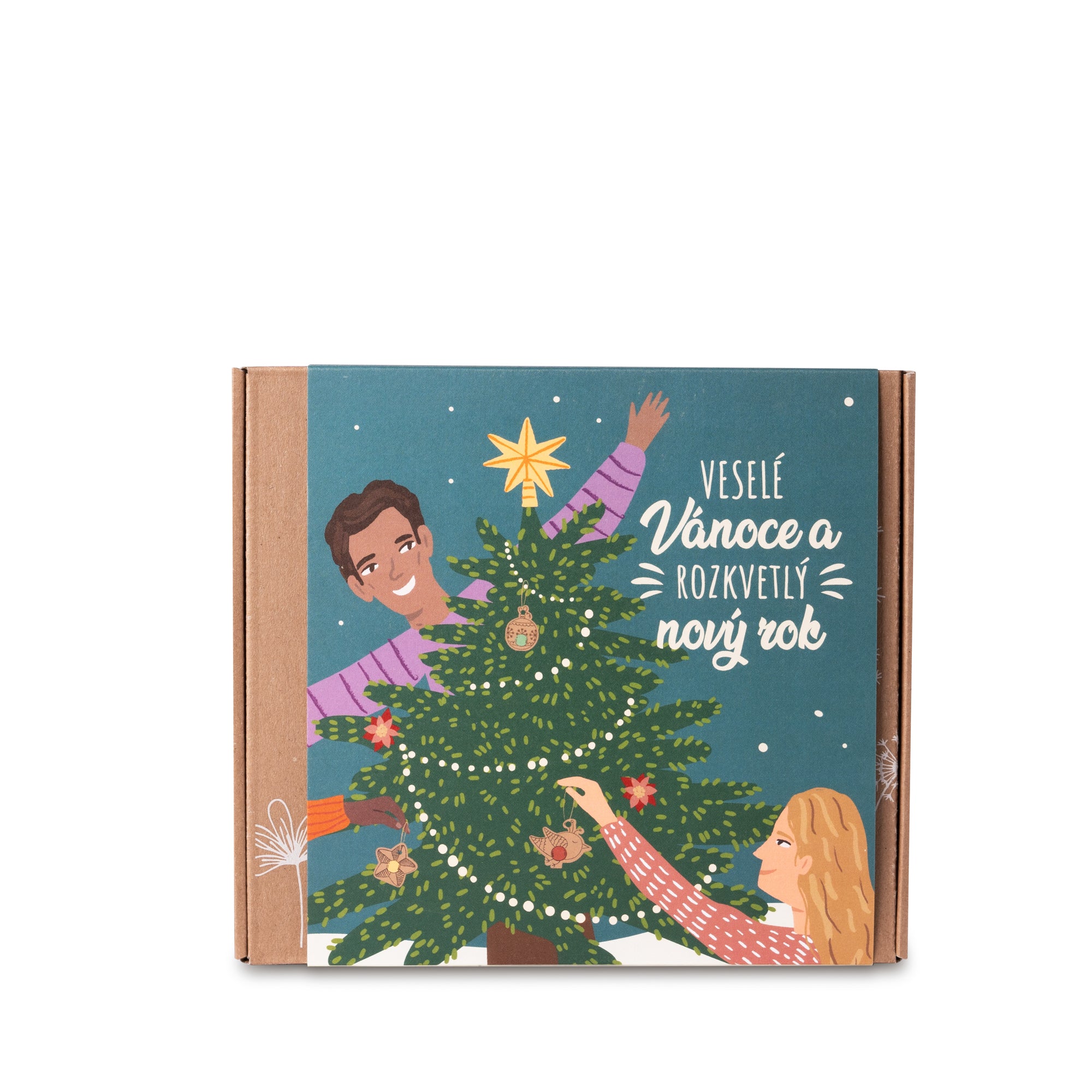 Blossombs Semínkové bomby - Dárková sada střední - Veselé Vánoce (9 ks) - originální vánoční dárek Blossombs