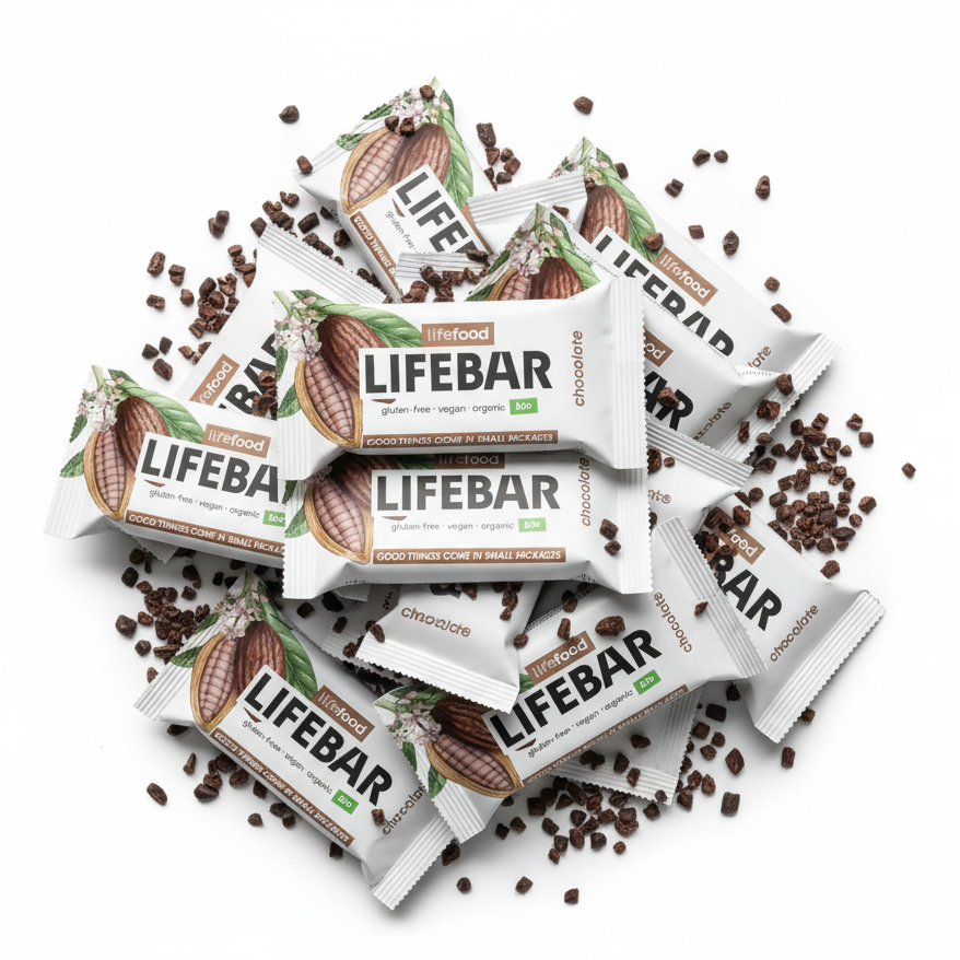 Lifefood Zvýhodněná sada 13 + 2 tyčinky mini zdarma - Lifebar čokoládová RAW BIO (15 x 25 g) - malé svačinky do kapsy Lifefood