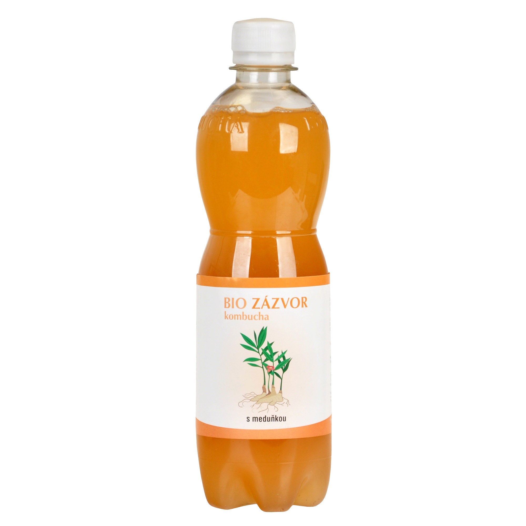 Kombucha zázvorová s meduňkou 500 ml BIO   STEVIKOM Stevikom